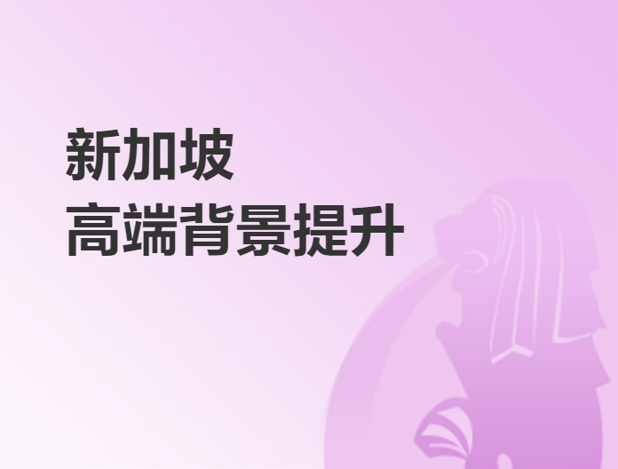 新加坡高端背景提升